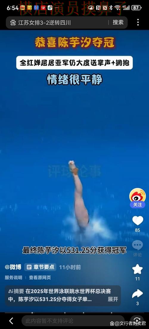 世界杯全球总决赛期间热门世界杯竞猜入口解析与直播入口分析